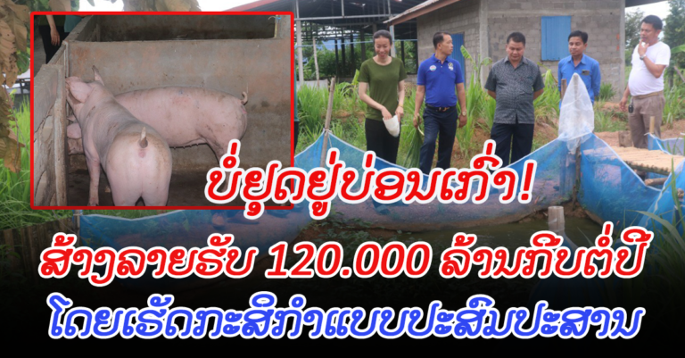 ເຈົ້າເມືອງຊະນະສົມບູນ ລົງຢ້ຽມຢາມ, ຊຸກຍູ້ຄອບຄົວຕົວຢ່າງ “ຟາມໄຂ່ມຸກ ” ເຮັດກະສິກຳແບບປະສົມປະສານ