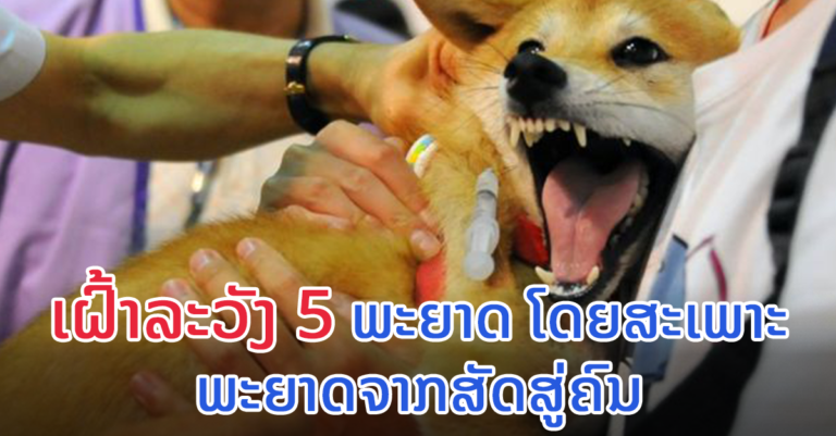 ກອງປະຊຸມສຸຂະພາບໜຶ່ງດຽວ ຄັ້ງທີ 10 ເພື່ອເຝົ້າລະວັງ 5 ພະຍາດ