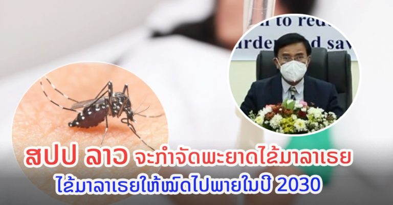 ປີ 2030 ສປປ ລາວ ຈະກໍາຈັດພະຍາດໄຂ້ມາລາເຣຍໃຫ້ໝົດ
