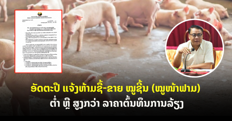 ອັດຕະປື ແຈ້ງຫ້າມຊື້-ຂາຍ ໝູຊີ້ນ (ໝູໜ້າຟາມ)  ຕໍ່າ ຫຼື ສູງກວ່າ ລາຄາຕົ້ນທຶນການລ້ຽງ